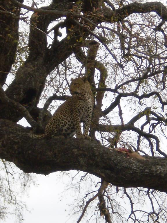 Manzini River House - Mjejane Private Game Reserve, Greater Kruger National Park Hectorspruit Exteriér fotografie
