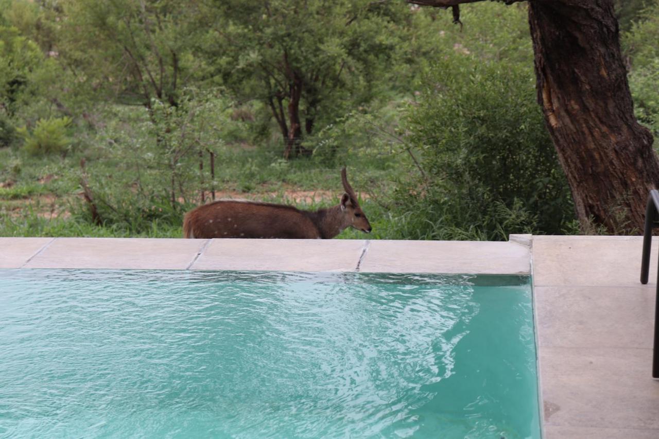 Manzini River House - Mjejane Private Game Reserve, Greater Kruger National Park Hectorspruit Exteriér fotografie